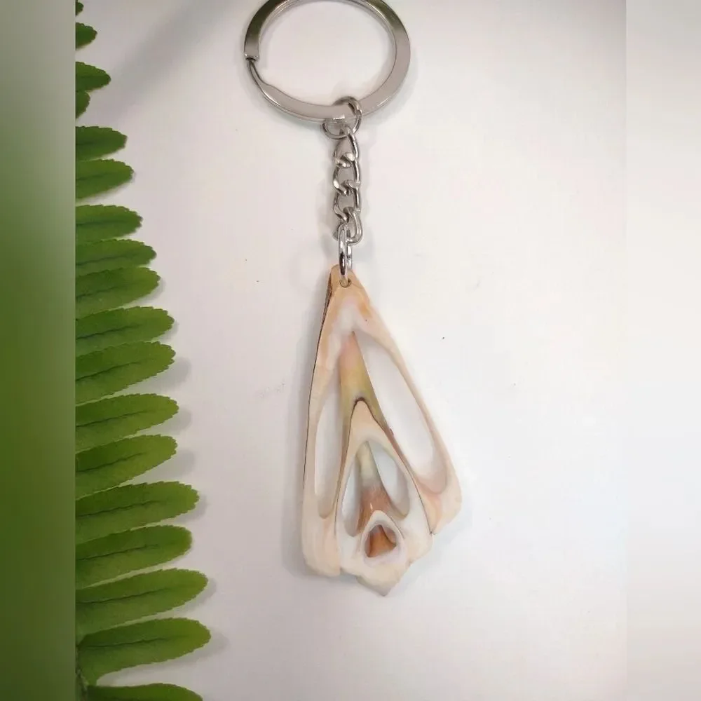 Seashell Keyring Slice Conch Seashell Clearwater Beach, Florida